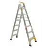 GORILLA Dual Purpose Ladder 2.1/3.9m DM007-I